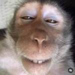 Luk okta profile picture