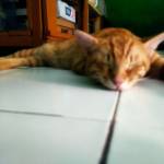 Endin M Profile Picture