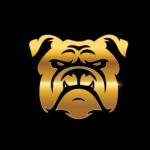 Sixma Oca profile picture